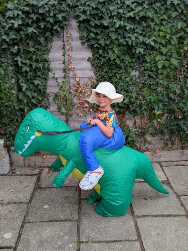 Adult blow dinosaur rider - adult, up