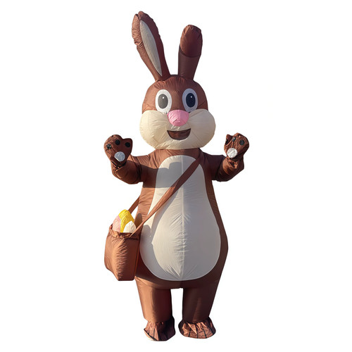 Easter rabbit costume - easter,
