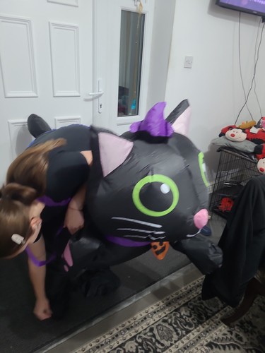 Inflatable cat costume for - inflatable,