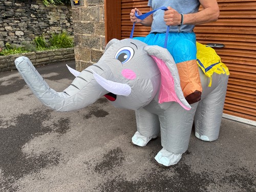 Elephant inflateable fancy