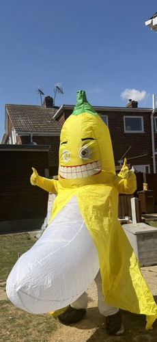 Inflatable banana costume - banana,