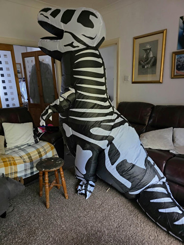 Adult inflatable skeleton - adult,