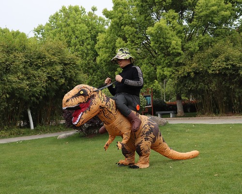 Rex inflatable costume - t,