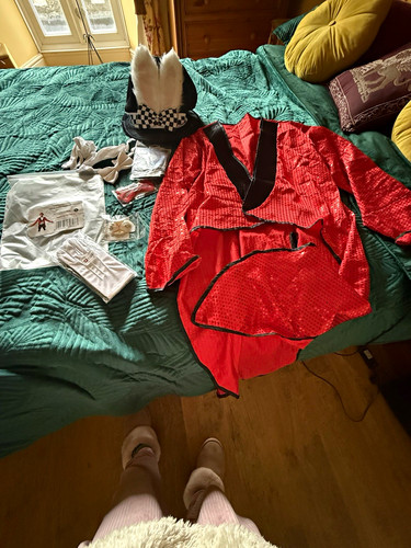 Red sequin tailcoat costume - sequin,